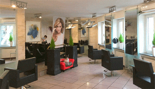 Kundenbild groß 1 Axel + Stylisten Friseur