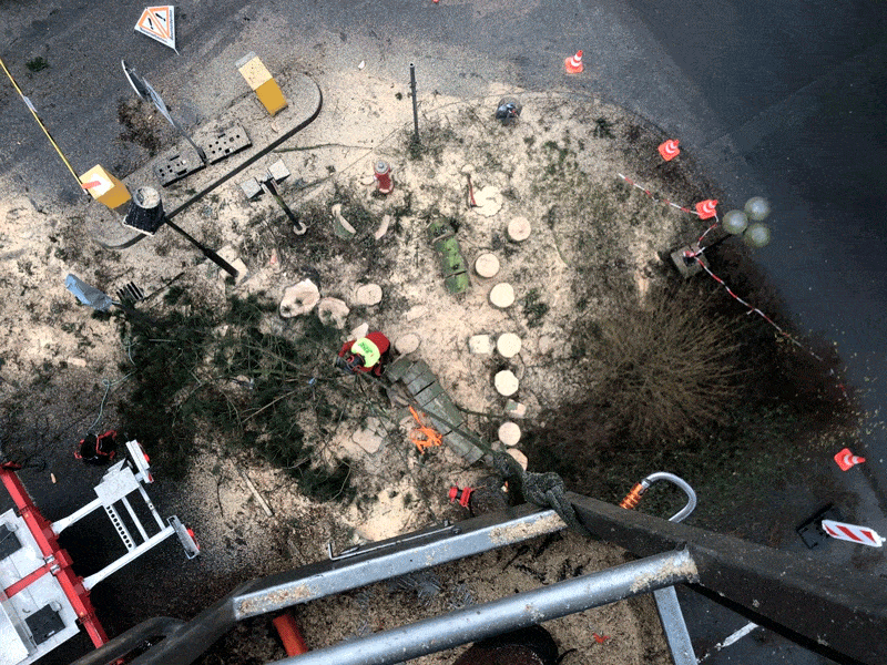 Kundenfoto 8 Baumdienst Ruhr