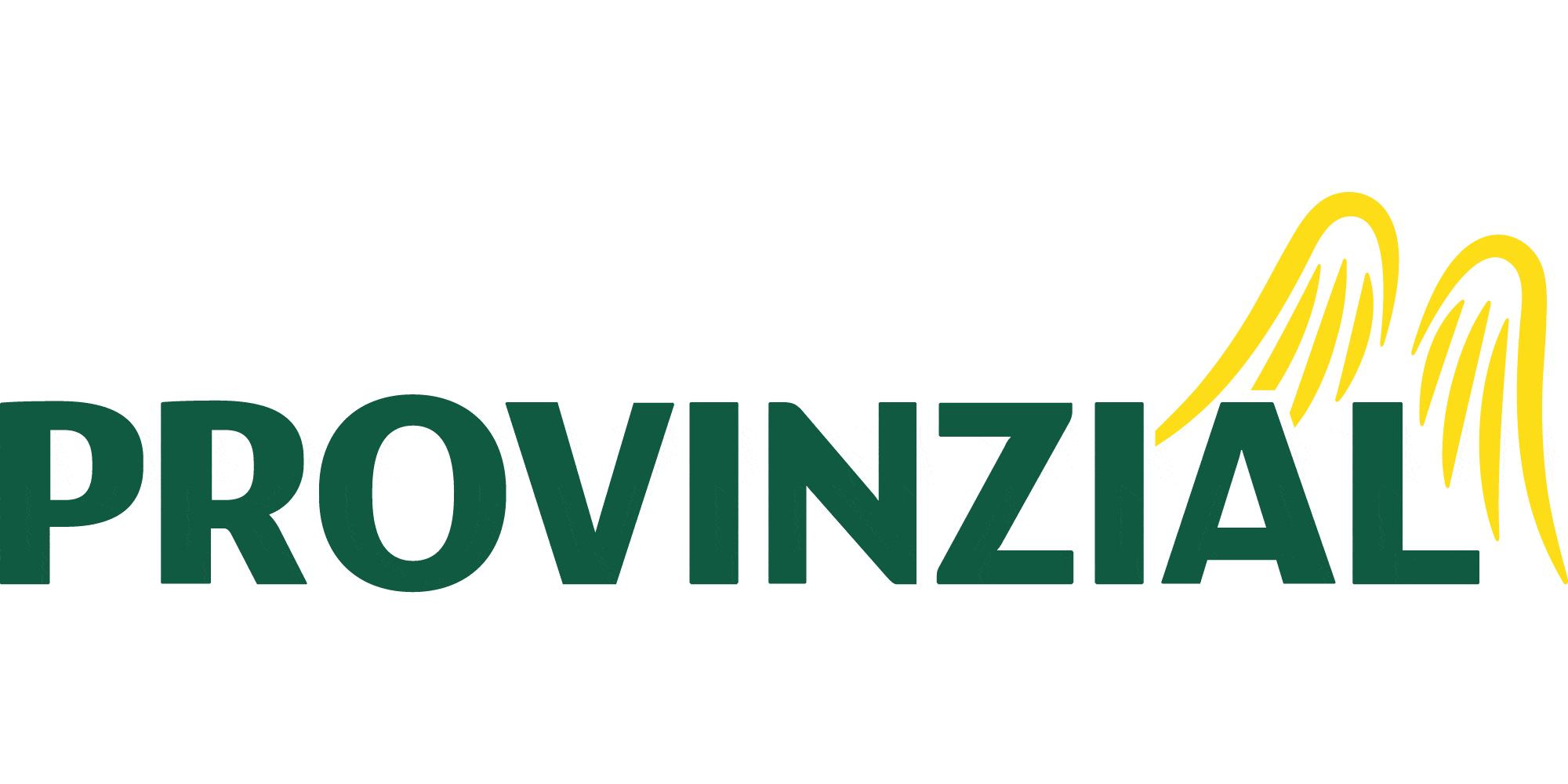 Kundenlogo von Borchers Kay Provinzial Versicherungen
