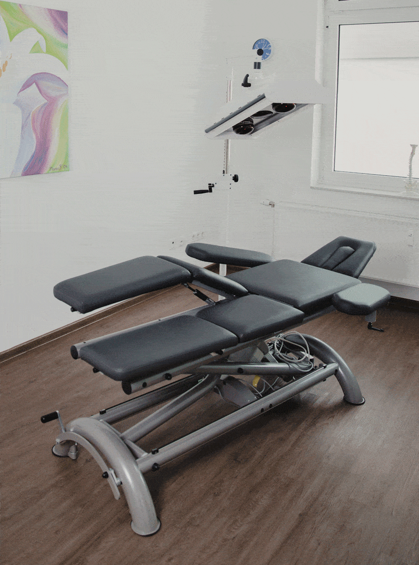 Kundenbild klein 2 PTX Physiotherapie und Training Marvin Schreyer