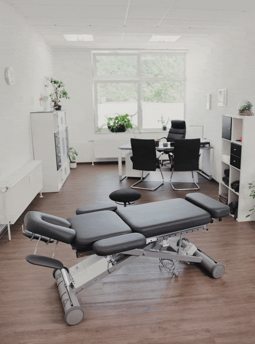 Kundenbild klein 3 PTX Physiotherapie und Training Marvin Schreyer