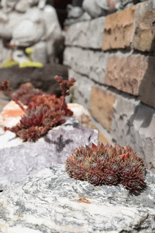 Kundenbild groß 24 NBL Natursteine Becker GmbH