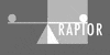 Kundenlogo von Rapior Hans-Jörg Steuerberater · Staatlich geprüfter Betriebswirt