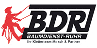 Kundenlogo von Baumdienst Ruhr - Mirsch & Partner