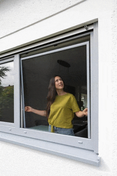 Kundenbild groß 1 MS Insektenschutz Rhein-Main GmbH