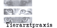 Kundenlogo von Mayer Tobias Tierarzt Kleintierpraxis