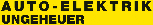 Kundenlogo Ungeheuer Walter Autoelektrik