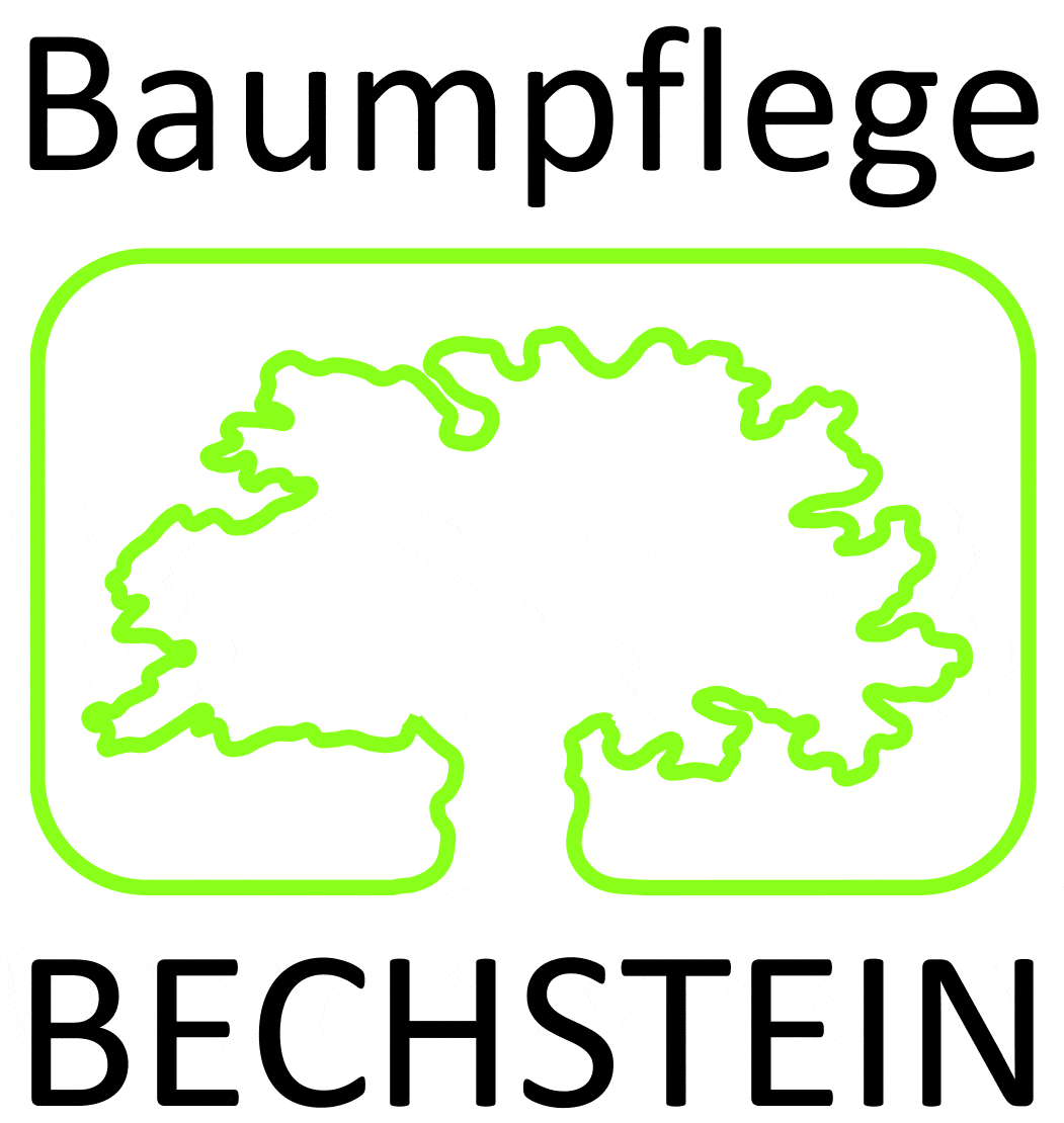 Kundenlogo von Bechstein Frank GmbH Baumpflege Baumschnitt Baumfällung Baumgutachten Kundenlogo von Bechstein Frank GmbH Baumpflege Baumschnitt Baumfällung Baumgutachten