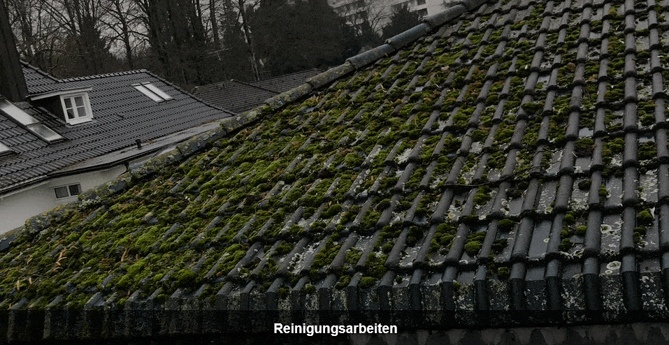 Kundenbild klein 18 Lindenberger Bedachungs GmbH