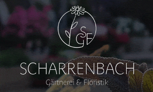 Kundenlogo von Scharrenbach Floristik und Gärtnereibetrieb