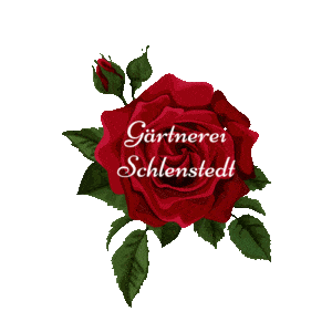 Kundenlogo von Schlenstedt Gärtnerei