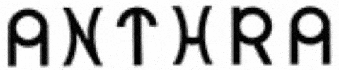 Kundenlogo von ANTHRA Textilien Holsten