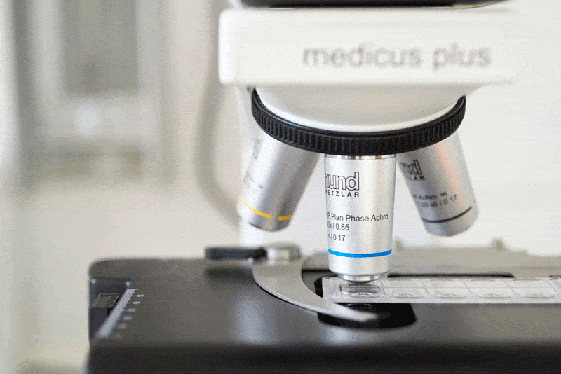 Kundenbild klein 4 Gombel Matthias Facharzt für Urologie u. Andrologie