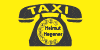 Kundenlogo von Hegener Helmut Taxi u. Rollstuhlfahrten Fahrrad-Transfer