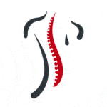 Kundenlogo von Tigges Physiotherapie