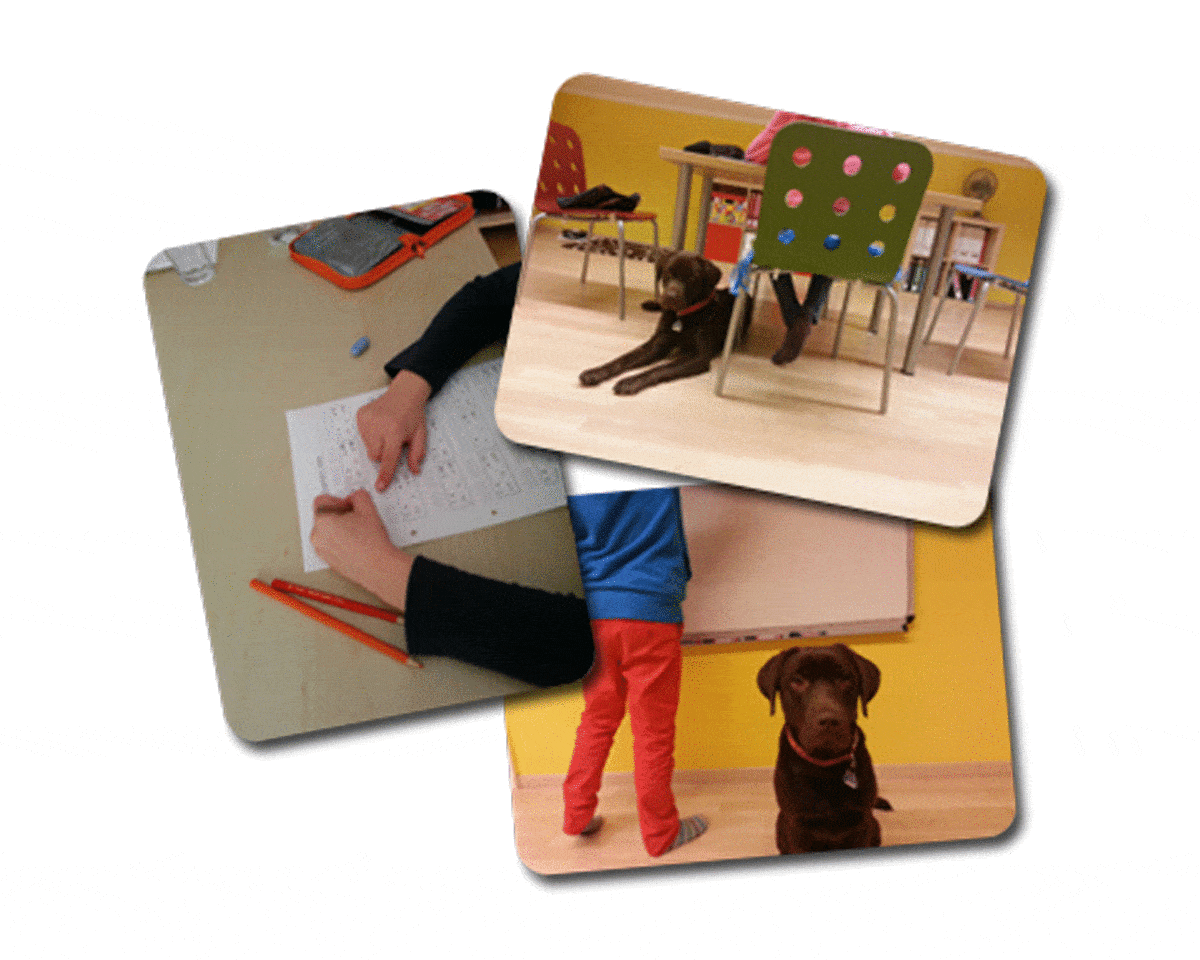 Kundenbild groß 1 Lernzentrum Bader Lerntherapie Lese- Rechtschreib- und Rechenschwäche