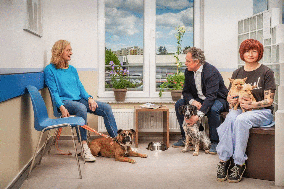 Kundenbild klein 3 Bergmann Thomas -Stutte Christine Tierärztliche Gemeinschaftspraxis
