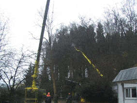 Kundenbild groß 1 M. Alterauge Forstservice