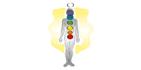 Kundenlogo Osteopathie Sandra Hebbinghaus