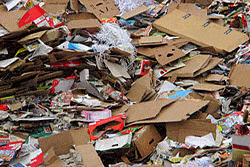 Kundenbild klein 5 Freudenberger Containerdienst GmbH