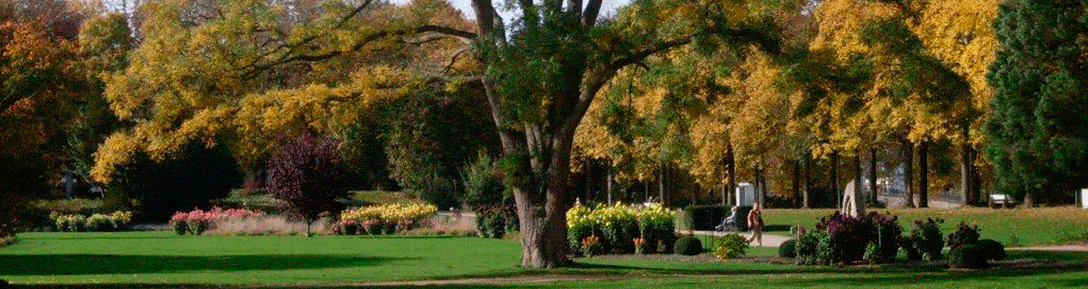 Kundenbild groß 1 Wurm Liborius Tischlerei