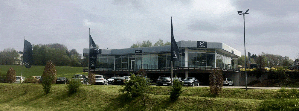 Kundenbild groß 1 Autohaus Meier GmbH