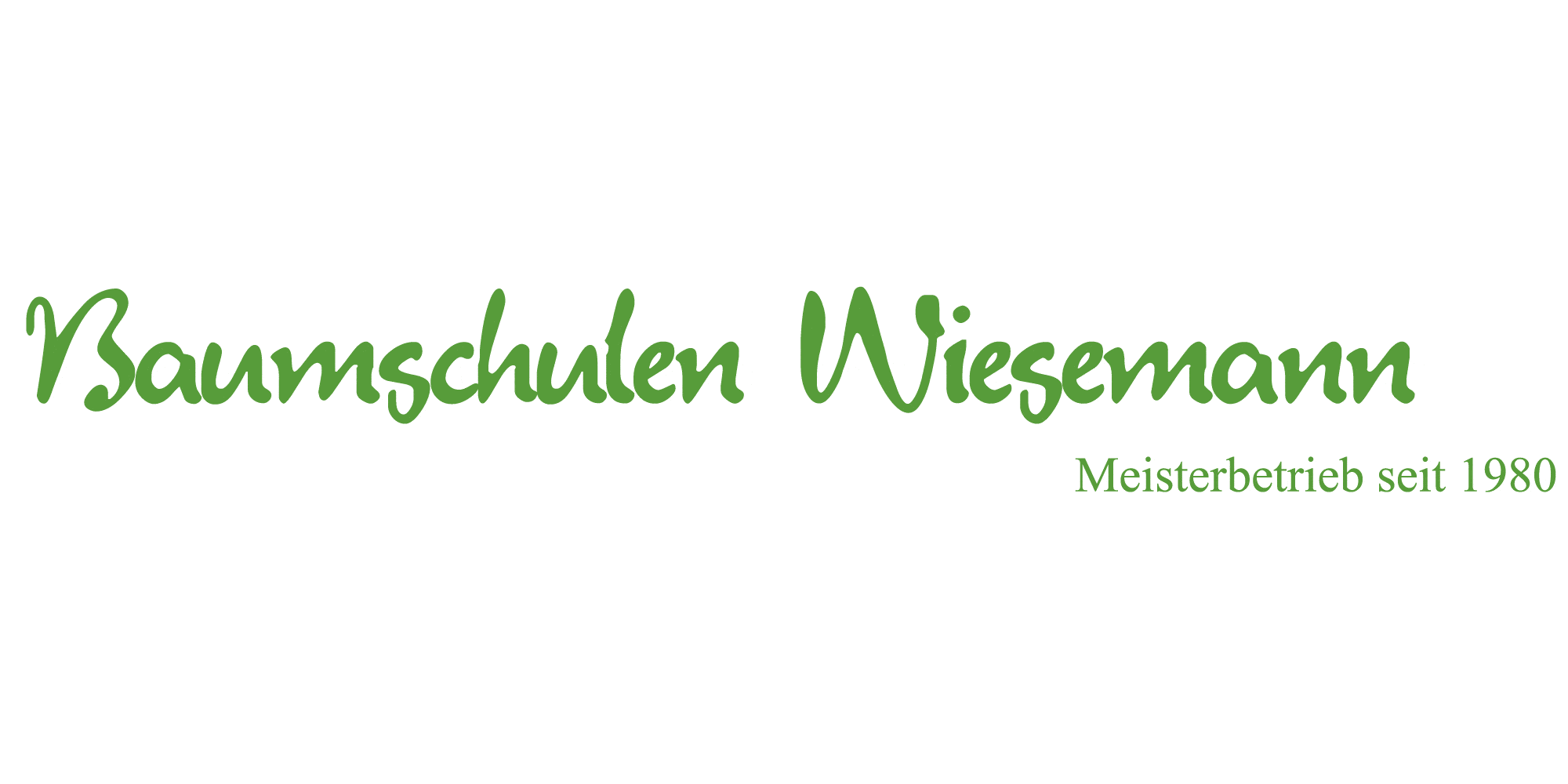 Kundenlogo Gartengestaltung Wiesemann Inh. Antonius Wiesemann jun.