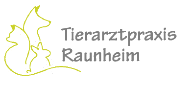 Kundenlogo von Gommermann-Köpper, Angelika Tierarztpraxis