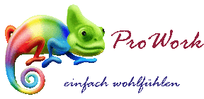 Kundenlogo Handwerksbetrieb Pro Work einfach wohlfühlen, Trockenbau, Wandgestaltung uvm.