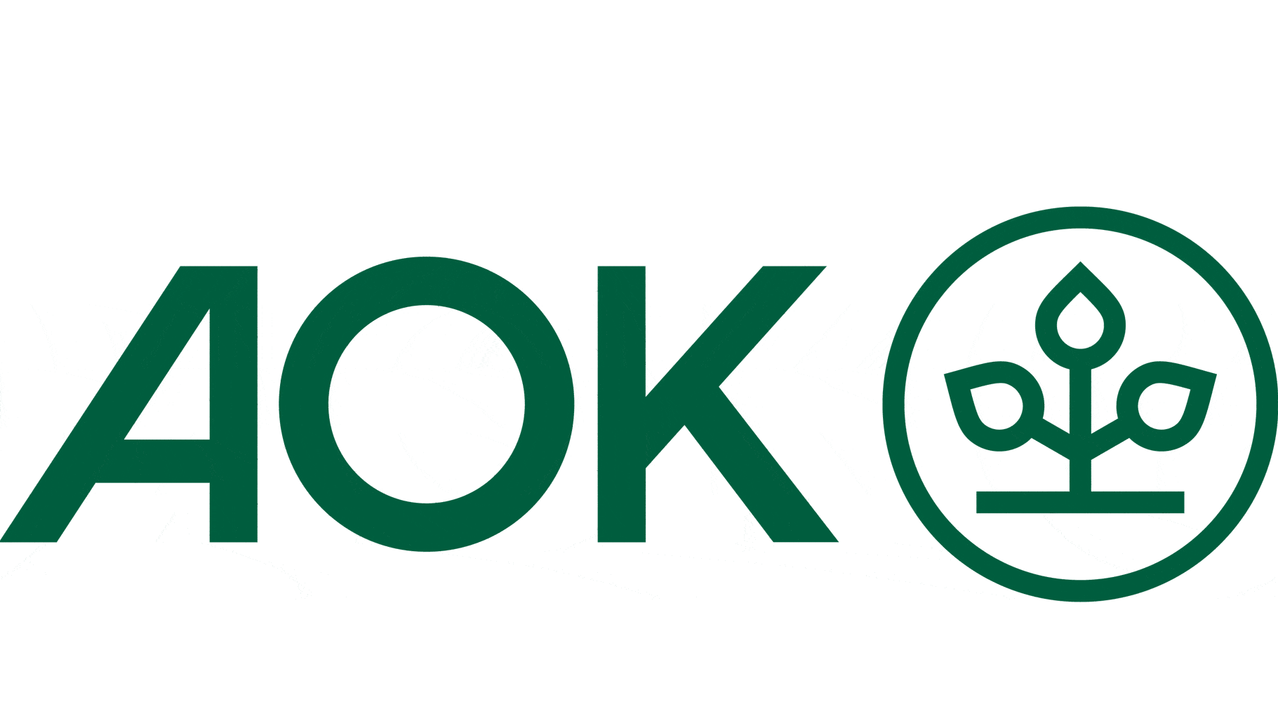 Kundenlogo von AOK - Die Gesundheitskasse in Hessen - Firmenservice