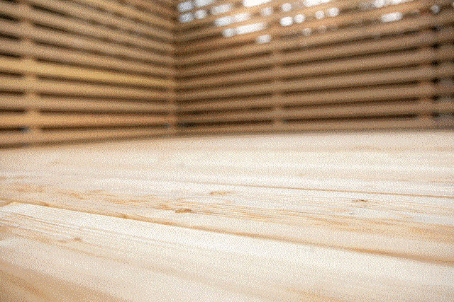 Kundenbild klein 9 Garten- und Landschaftsbau (GaLa) André Theune die Gärtner GmbH