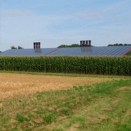 Kundenbild klein 17 Liepe GmbH & Co. KG Dachdeckermeisterbetrieb