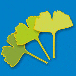 Kundenlogo von Rath Mechthild Ärztin für Allgemeinmedizin
