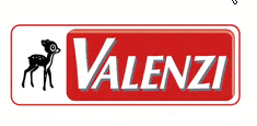 Kundenlogo von Valenzi GmbH & Co. KG