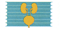 Kundenlogo von Urologische Praxis Hoepfner Gregor Kundenlogo von Urologische Praxis Hoepfner Gregor
