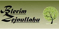 Kundenlogo Blerim Zejnullahu Garten- Landschaftsbau Hausmeisterservice Winterdienst