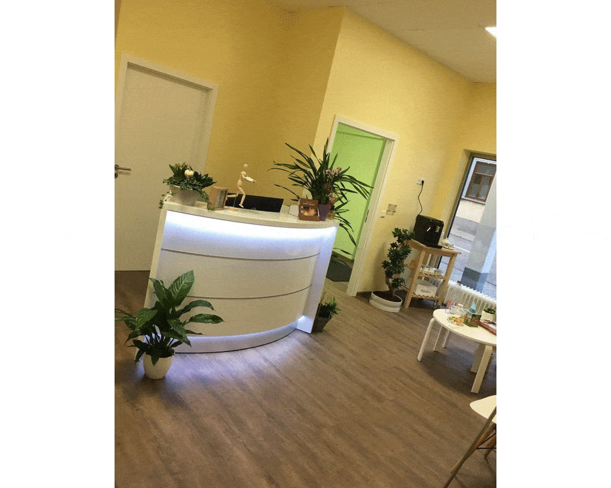 Kundenbild groß 1 TherapieZentrum Taunus Yusuf Bozdag staatlich geprüfter Physiotherapeut