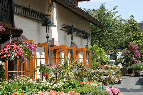 Kundenbild groß 2 Bad Homburger Baumschulen Familie Peselmann