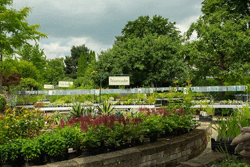 Kundenbild groß 4 Bad Homburger Baumschulen Familie Peselmann