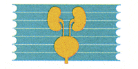 Kundenlogo von Urologische Praxis Hoepfner Gregor