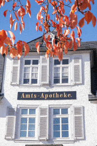 Kundenbild groß 1 Amts-Apotheke