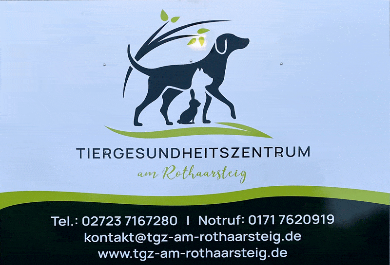 Kundenbild groß 1 Tiergesundheitszentrum Am Rothaarsteig Christin Voß vet. med.