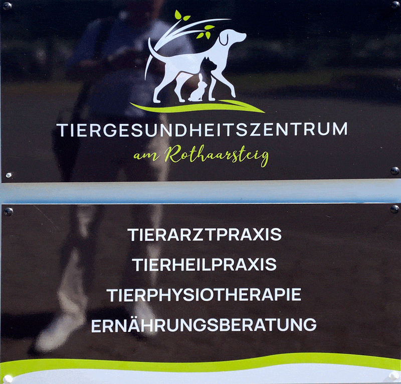 Kundenbild groß 2 Tiergesundheitszentrum Am Rothaarsteig Christin Voß vet. med.