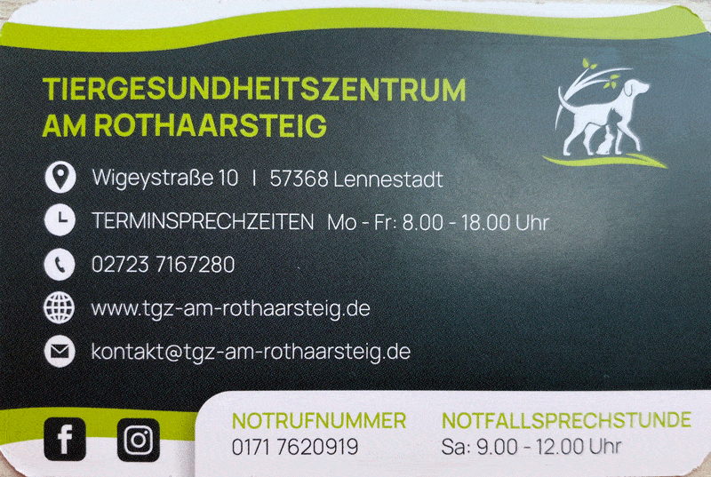 Kundenbild groß 3 Tiergesundheitszentrum Am Rothaarsteig Christin Voß vet. med.