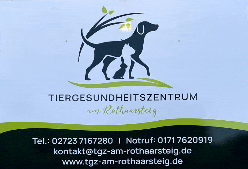 Kundenbild klein 2 Tiergesundheitszentrum Am Rothaarsteig Christin Voß vet. med.