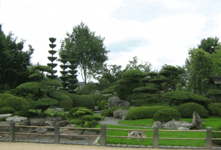 Kundenbild groß 2 Kempf M. GmbH Garten- und Landschaftsbau