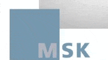 Kundenlogo von MSK METALLBAU Stefan Keil