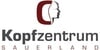 Kundenlogo von Höllering Jens Dr.Dr. & Partner