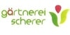 Kundenlogo von Blumen Scherer, Inh. Anja Jungerberg - Gärtnerei und moderne Floristik