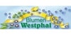 Kundenlogo von Westphal Heike Blumen
